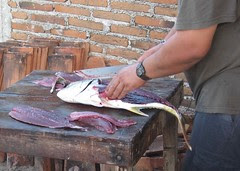 Cleaning the Forel
