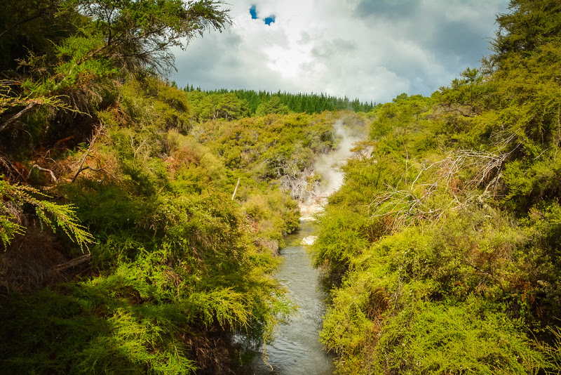 geothermal activity waiotapu