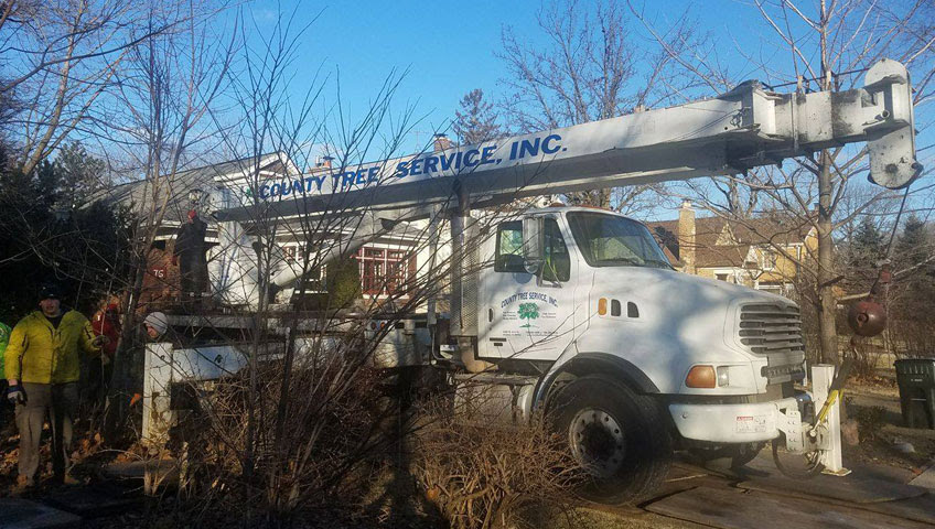 arbortech tree service virden il