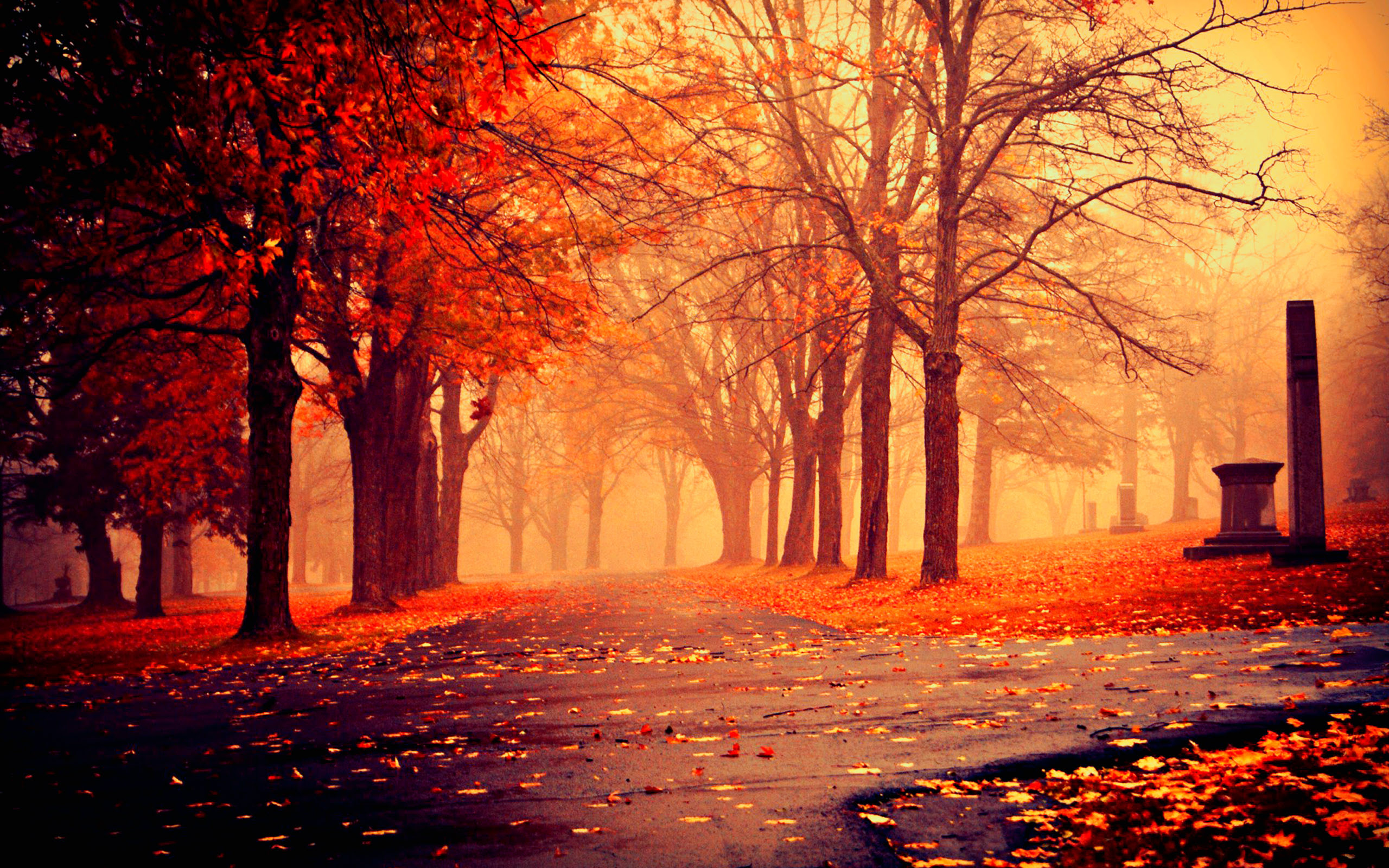 Hd Autumn Image Fall Hd Autumn 9775