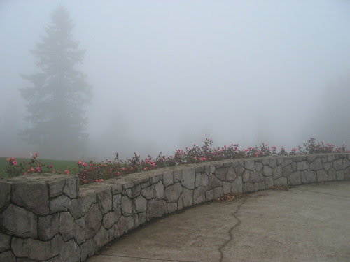 Council Crest Park in the fog