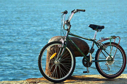 bicycle shops website description bicycleshops us helps you find ...