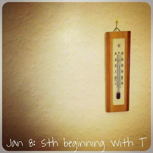 Jan 8: something beginning with "t".. #fmsphotoaday #thermometer