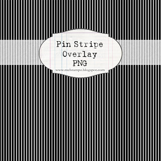 SAMPLE NOT FOR PRINT pin stripe overlay BLACK 12 and a half inch SQ 350dpi mel stampz