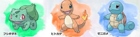 ポケモンxyでヒトカゲ フシギダネ ゼニガメを厳選