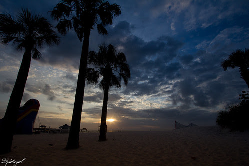 palms sunset.jpg