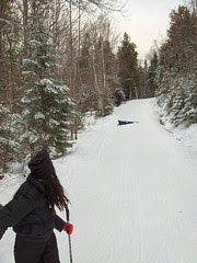 ski_fall