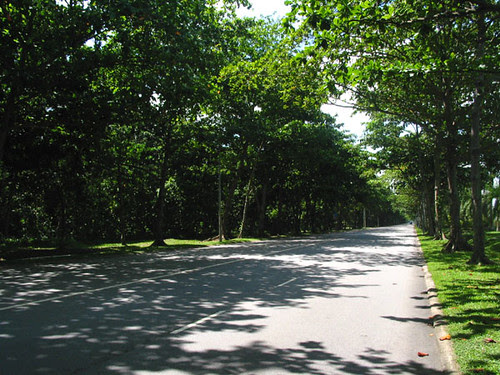 Changi Coast Road