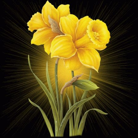 Animated Backgrounds on 17 Animation Flowers Wallpapers 12 58 Pm Animation Flowers Wallpapers