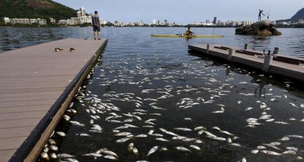 Rio 2016: contamination and expenses sloppy Olympic waters (6)