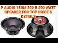 P Audio Speaker 300 Watt