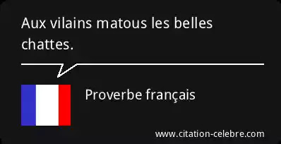 Proverbe français : « Aux vilains matous les belles chattes. »