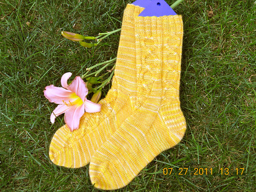 DSCN0268 by quiltingknitter