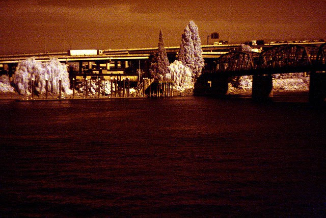 waterfront park, infrared