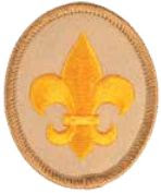 Scout Rank Requirements