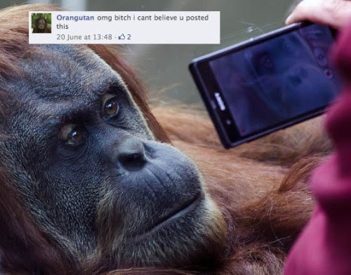 funny-facebook-pic-selfie-tag-photo