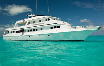 Special Offer Last Minute Cheap Liveaboard Scuba Diving