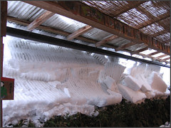 02 hanging into the outdoor kitchen