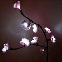 Cherry Blossom Lights