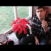 How Do You Keep Poinsettias Alive After Christmas Download Lyrics Mp3
and Mp4
