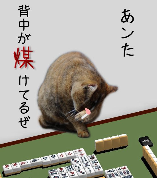 イツカノドコカ Blog Archive あンた 背中が煤けてるぜ