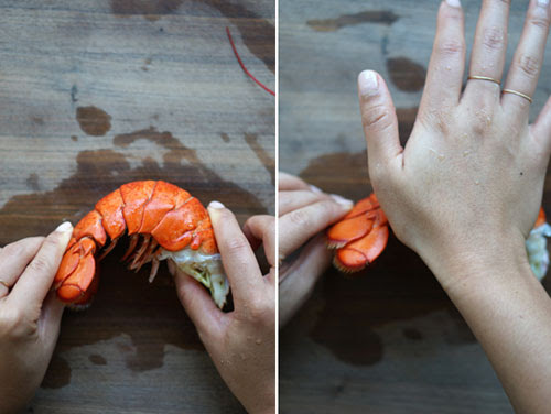 Detailing a lobster | Tacky Harper's Cryptic Clues