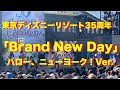 Brand new day ディズニー 歌手 608161
