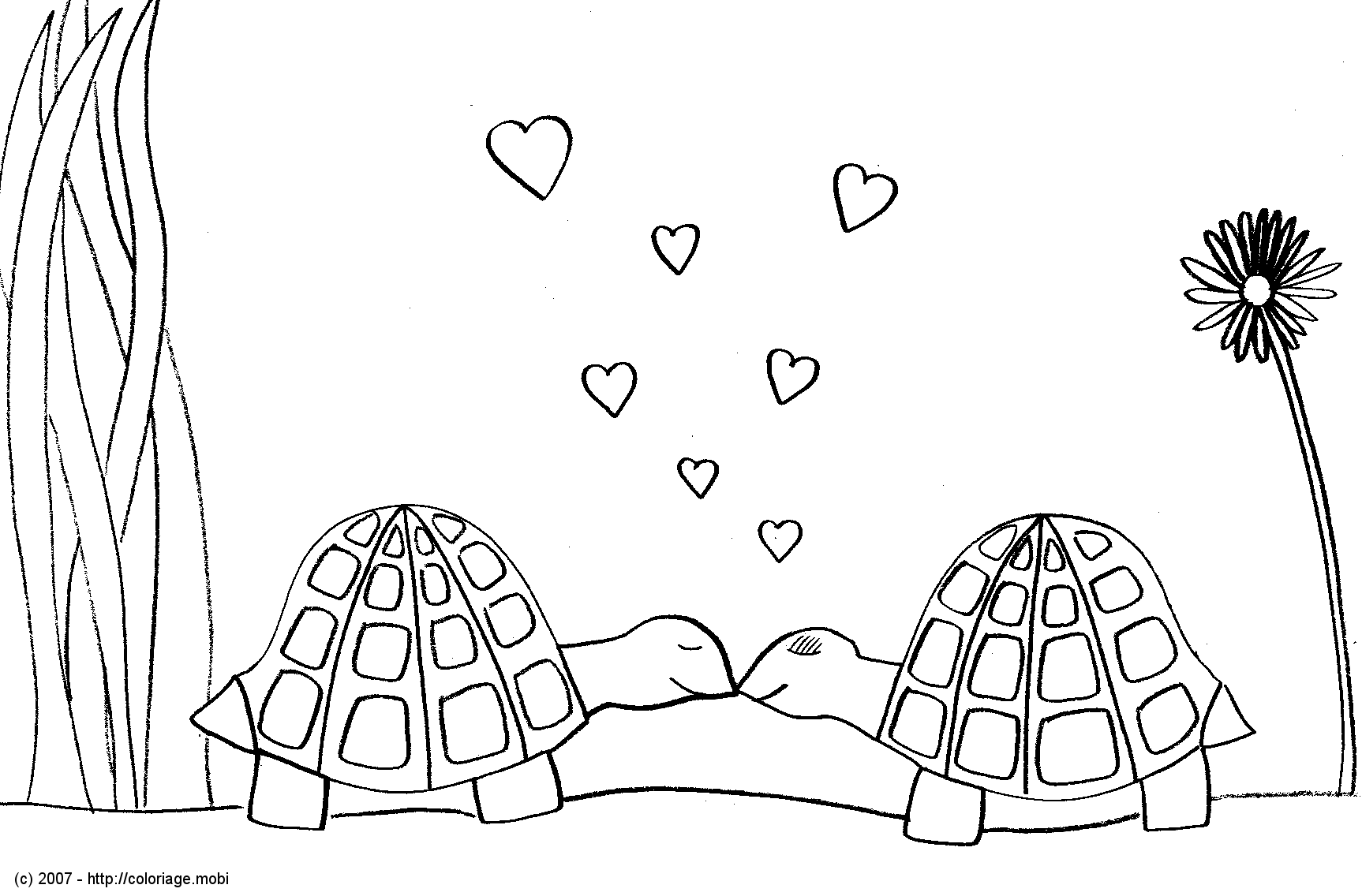 Dessin gratuit tortue a imprimer Coloriage bisou tortue
