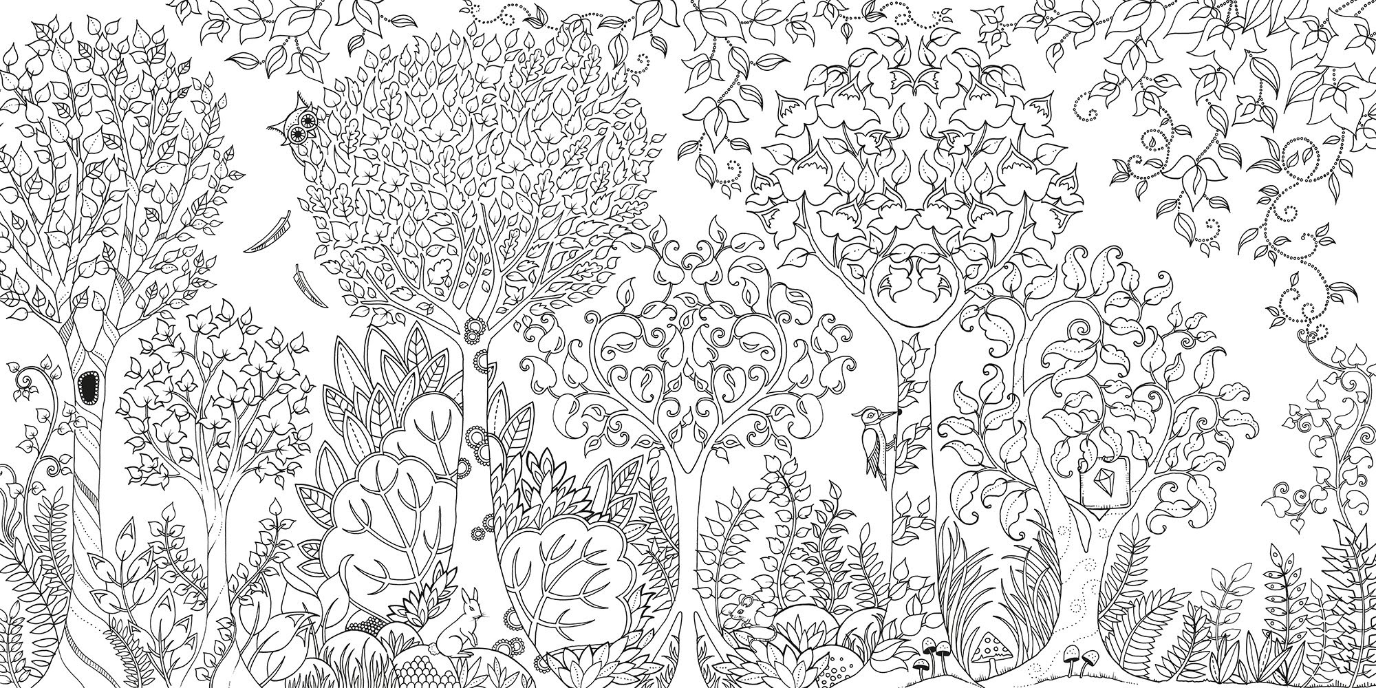 coloring page from the enchanted forest coloring book