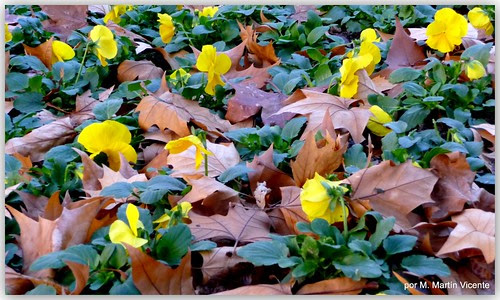 Valdemoro, día 3 de diciembre
