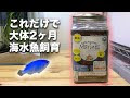 画像をダウンロード ニモ 飼育セット 271135-ニモ 飼育セット