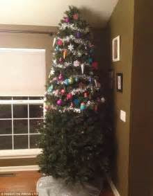 families pet proof  christmas trees daily mail