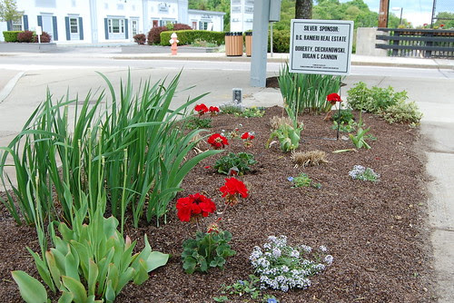 Franklin_Beautification4