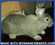 Create your own banner at mybannermaker.com!