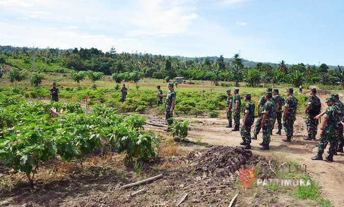 Ambon, Malukupost.com - Pangdam XVI/Pattimura Mayjen TNI Doni Monardo berserta rombongan melaksanakan kunjungan kerja ke Yonif 731/Kabaresi. Dalam kunjungan itu, Pangdam meninjau lokasi yang akan digunakan untuk menanam berbagai pohon buah dan pohon keras sesuai dengan program "Emas Hijau" (pemberdayaan potensi sumber daya daratan terutama tumbuh-tumbuhan). Siaran pers Penerangan Kodam XVI/Pattimura yang diterima media ini, Senin (30/1), menyebutkan, Pangdam dalam kesempatan itu juga mengunjungi pos Satgas Yonif 726/Taman Manusela di Kairatu, Seram Bagian Barat, sekaligus memberikan bingkisan dan pengarahan kepada anggota satgas, dalam satu acara yang juga dihadiri oleh Raja (kepala desa) Kairatu serta tokoh masyarakat setempat. Pangdam mengucapkan terima kasih kepada Danyon 726/Taman Manusela yang telah membina hubungan baik dengan masyarakat dan berharap hal itu terus dipelihara dan ditingkatkan. Ia juga berterima kasih kepada masyarakat Kairatu yang telah menerima keberadaan TNI bertugas bersama sama dengan masyarakat di daerah itu, juga kepada polisi atas kerja sama yang diberikan dalam menjaga keamanan dan ketertiban.