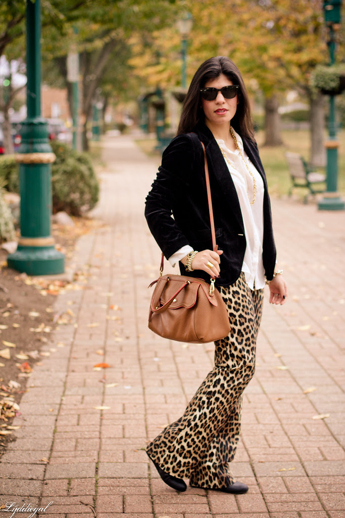 leopard pants-2-2.jpg