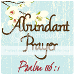 Abundant Prayer Blog
