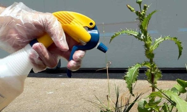 Faire son désherbant naturel