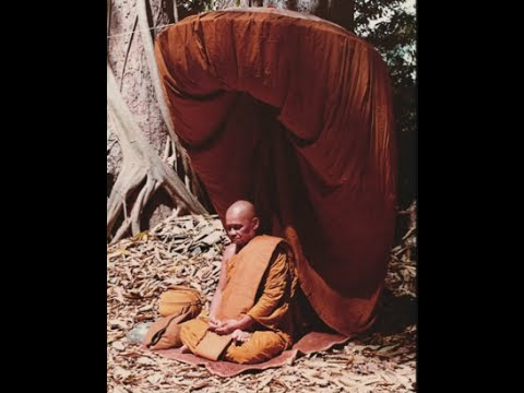 Thấy biết đi đôi với trí tuệ mới giúp chúng ta giác ngộ giải thoát - Ajahn Chah