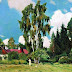Рылов Картины : Vystavka Arkadij Rylov 1870 1939 Workingmama - Анри мати́сс (1869—1954), андре дере́н (1880—1954), альбер марке́ (1875—1947), морис влами́нк (1876—1958), рауль дюфи́ (1877—1953) и др.