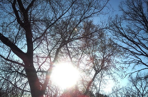 20130125_142551