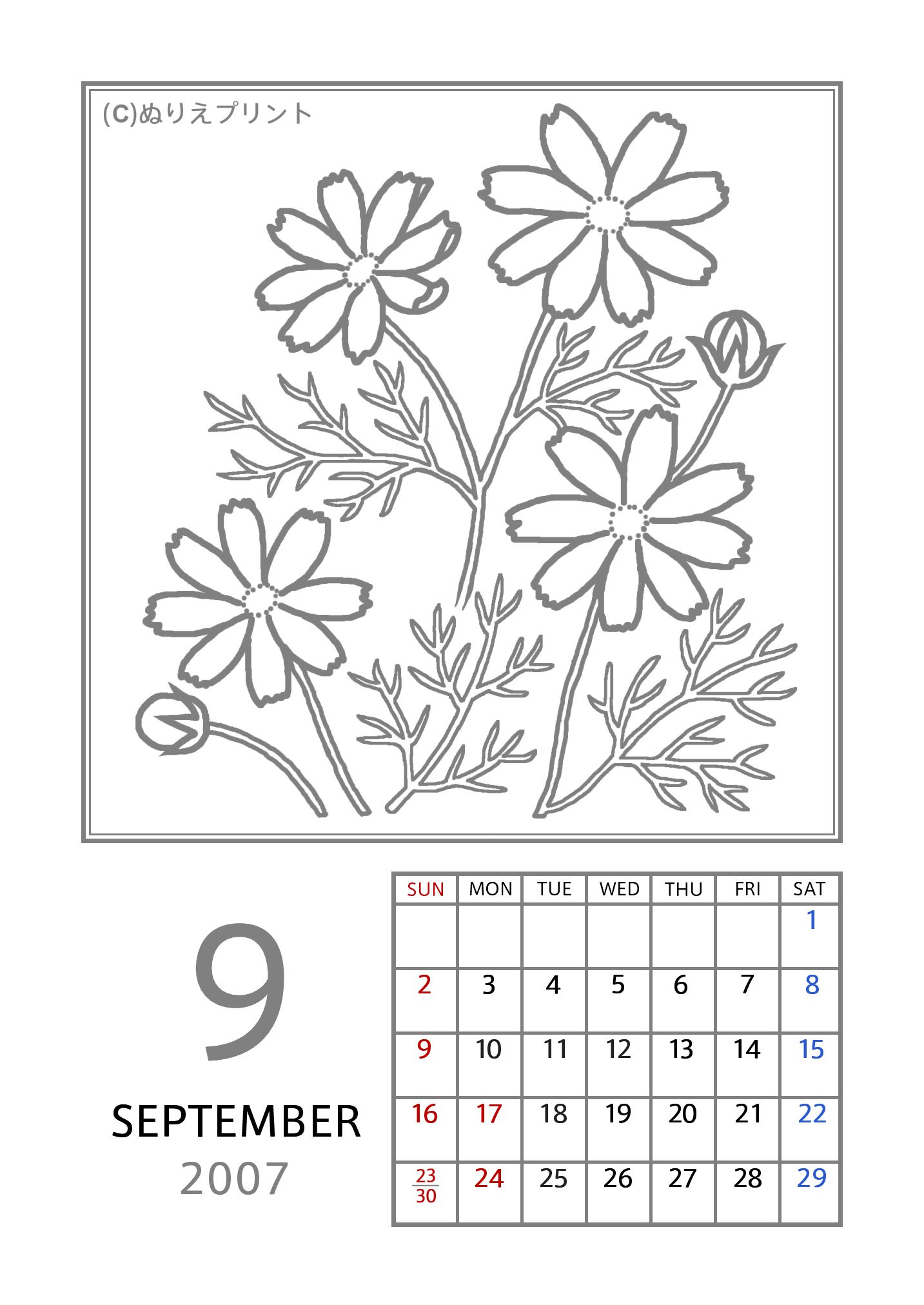 9月 コスモス 秋桜 グレー 07 平成19年 花のぬりえカレンダー 無料 フリー ぬりえプリント