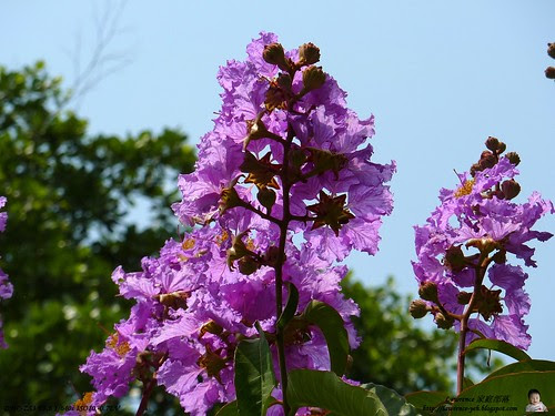 2009 Jun06 pic 25