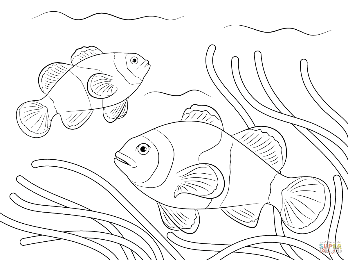 Clicca su disegni da colorare di Pesce pagliaccio