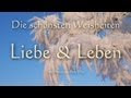Zitate über Musik Und Leben