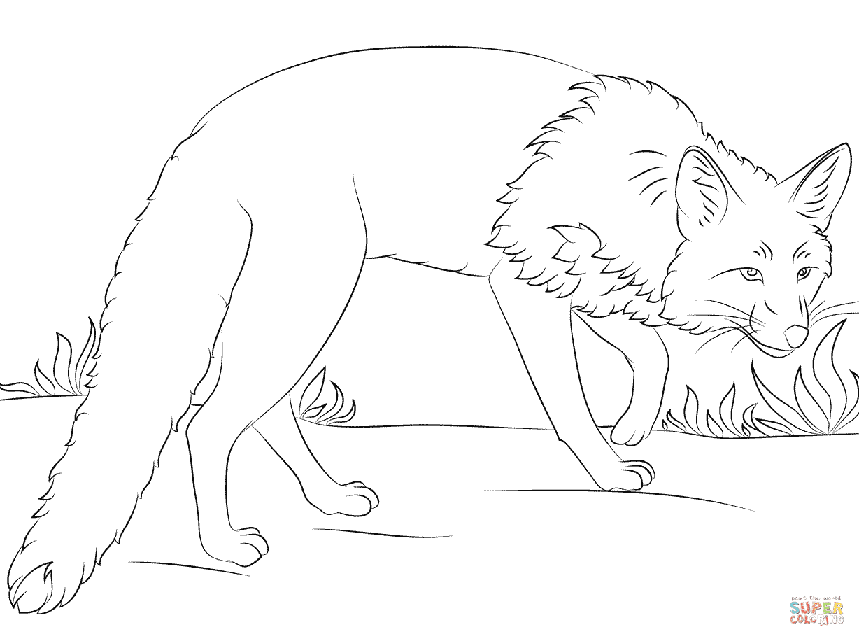 Crouching Red Fox coloring page  Free Printable Coloring  