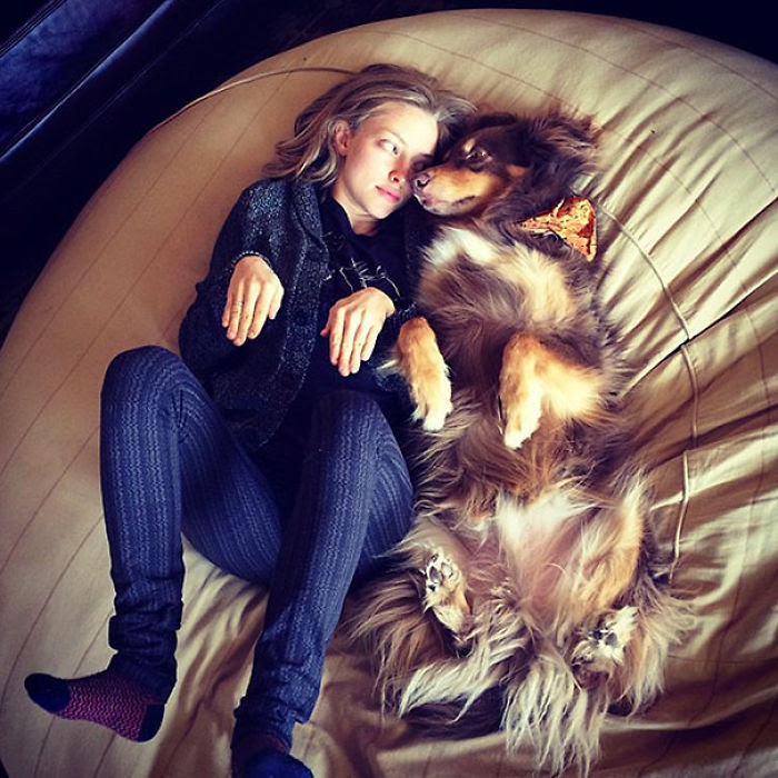 Like Owner Like Pet