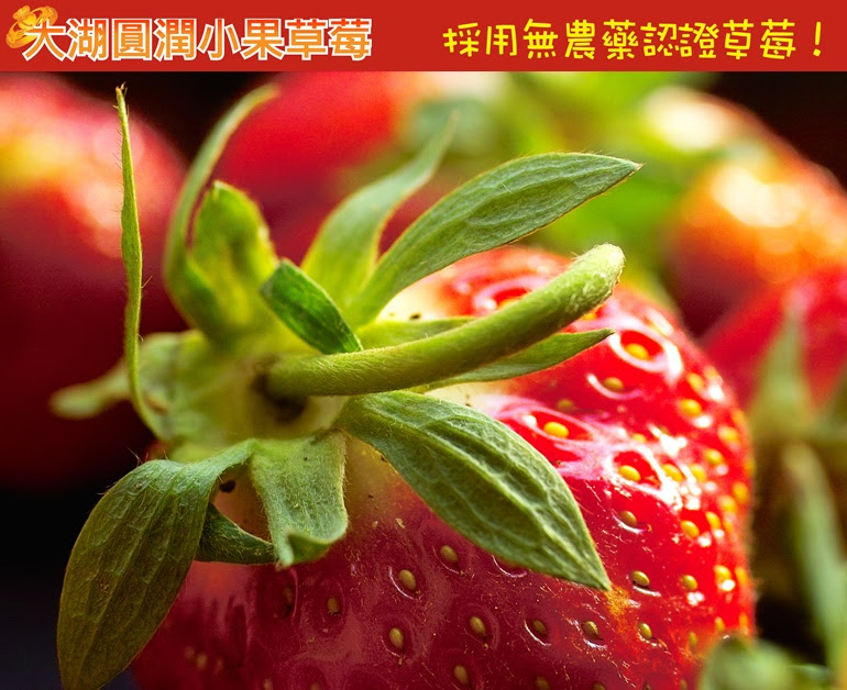 紅酒草莓1