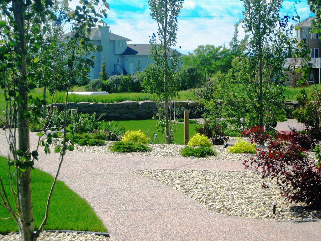 Small Back Yard Landscaping Ideas
