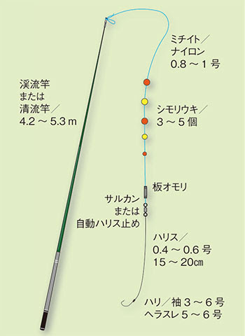 ウミタナゴ 海鱮 釣りの仕掛け講座 海水編 房総爆釣通信